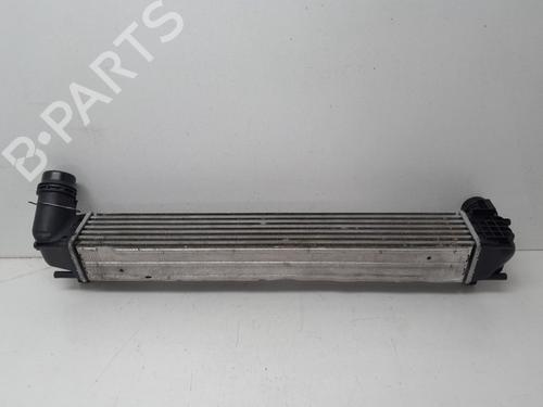 Intercooler RENAULT MEGANE III Hatchback (BZ0/1_, B3_) 1.5 dCi | BP29634802M30 