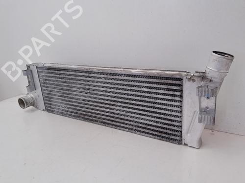 Intercooler RENAULT MEGANE II Saloon (LM0/1_)  | BP29636273M30 