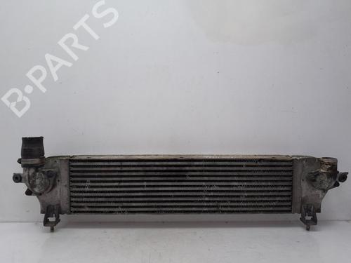 Used Intercooler NISSAN QASHQAI / QASHQAI +2 I (J10, NJ10, JJ10E) 2.0 dCi (150 hp) 24571917