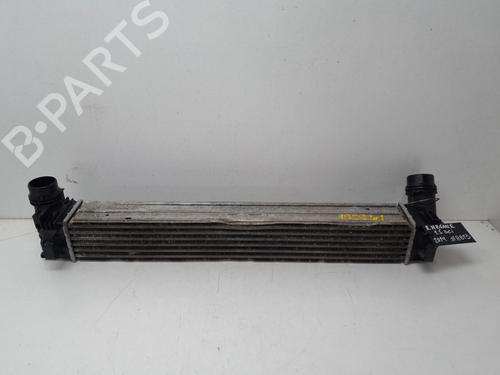 Intercooler RENAULT MEGANE III Hatchback (BZ0/1_, B3_) 1.5 dCi (106 hp) 29634802