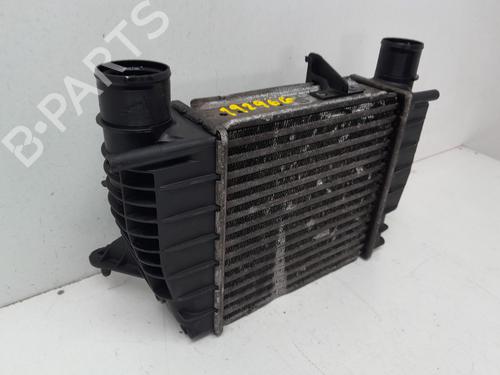 Intercooler RENAULT CLIO III (BR0/1, CR0/1) | BP29634807M30