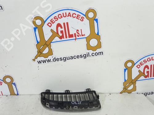 Grille BMW 3 (E90) 318 d | BP20740602C40 