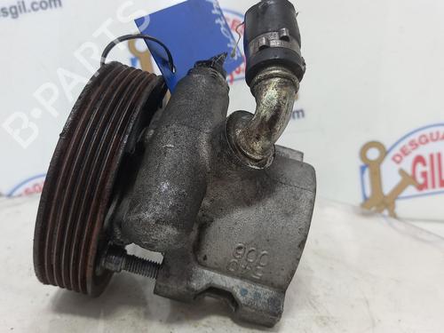 Steering pump PEUGEOT 306 (7B, N3, N5) 1.9 STD | BP20758003M99 