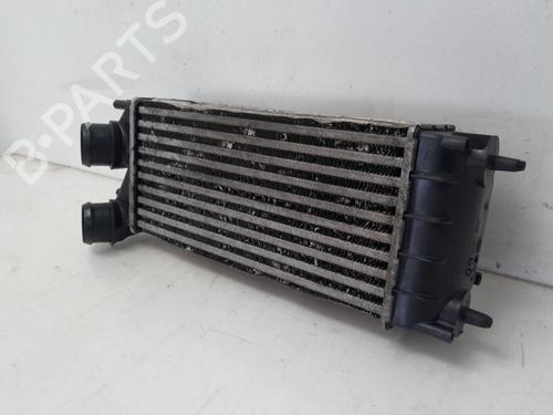 Intercooler CITROËN DS5 | BP34130923M30 - Image 2