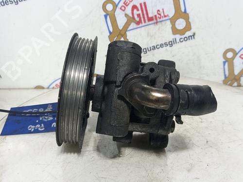 Steering pump VW POLO (6N2)  | BP20749922M99 