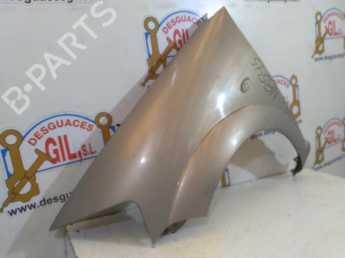 Left front fenders CITROËN C3 I (FC_, FN_) 1.4 HDi | BP20743013C41 