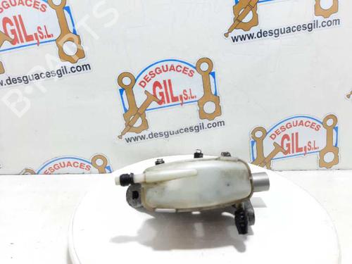 Brake master cylinder RENAULT SCÉNIC III (JZ0/1_)  | BP20728660M77 