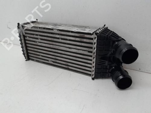 Intercooler PEUGEOT 208 I (CA_, CC_) 1.6 BlueHDi 100 | BP29634805M30