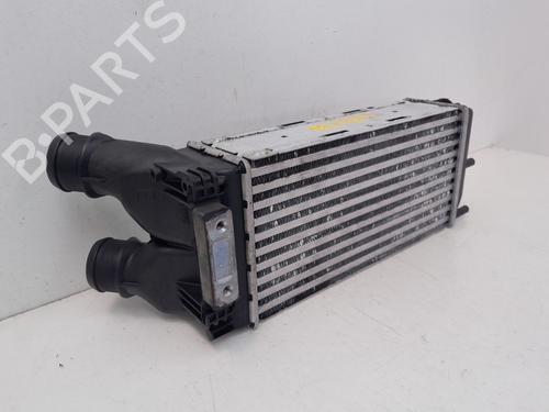 Intercooler CITROËN BERLINGO MULTISPACE (B9) 1.6 HDi 75 / BlueHDi 75 | BP29636272M30 