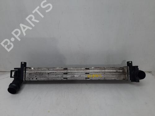 Used Intercooler Intercooler RENAULT MEGANE III Hatchback (BZ0/1_, B3_) 1.5 dCi (BZ09, BZ0D, BZ1W, BZ29, BZ14) (110 hp) 34134580 34134580
