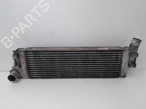 Intercooler RENAULT MEGANE II (BM0/1_, CM0/1_) [2001-2012]  29634815