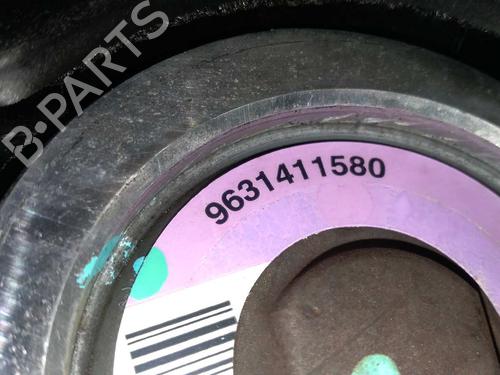 Steering pump PEUGEOT 206 Hatchback (2A/C) 1.4 LPG | BP20800964M99 