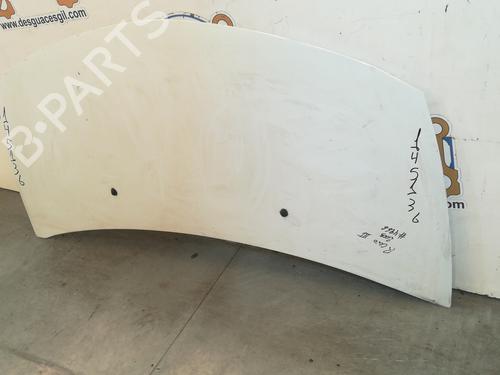 Hood RENAULT CLIO III (BR0/1, CR0/1) 1.5 dCi (BR17, CR17) | BP20756793C1 