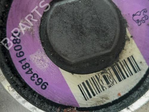 Steering pump PEUGEOT 206 Hatchback (2A/C) 1.9 D | BP23952660M99 