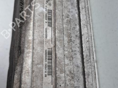 Intercooler RENAULT MEGANE III Hatchback (BZ0/1_, B3_) 1.5 dCi | BP29634802M30 
