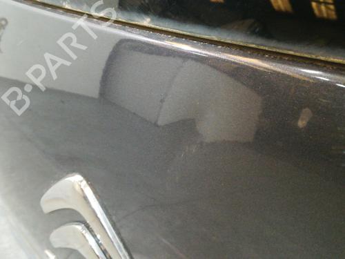 Tailgate CITROËN C3 II (SC_)  | BP20750976C6 