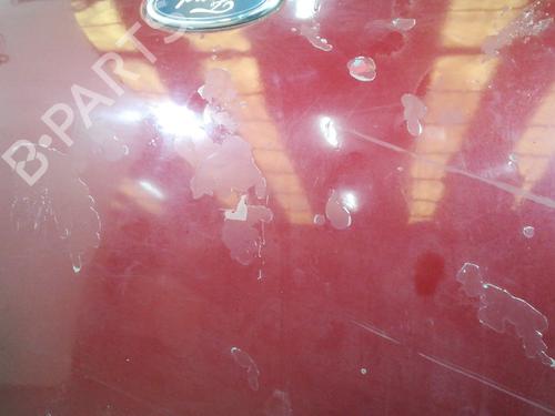Hood FORD TRANSIT Van (FA_ _) 2.4 DI (FAA_, FAB_, FAC_, FAD_) | BP20753673C1 