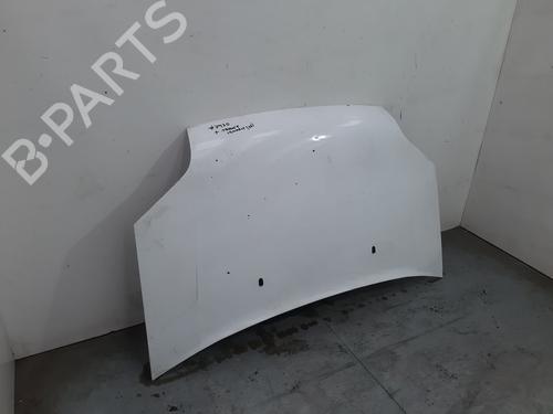 Hood FORD TRANSIT CONNECT (P65_, P70_, P80_) 1.8 TDCi | BP21726425C1