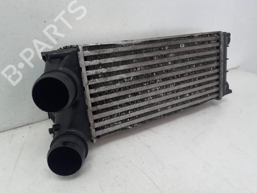 Intercooler CITROËN DS5 | BP34130923M30 - Image 3