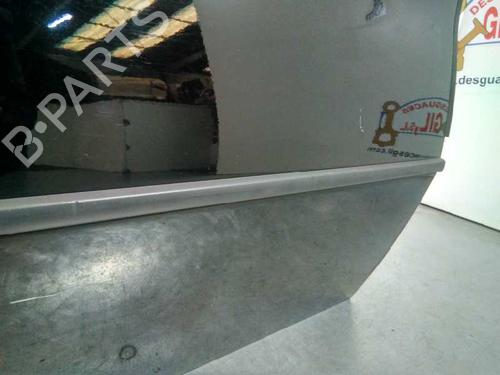 Left front door BMW X5 (E53)  | BP20729641C2 