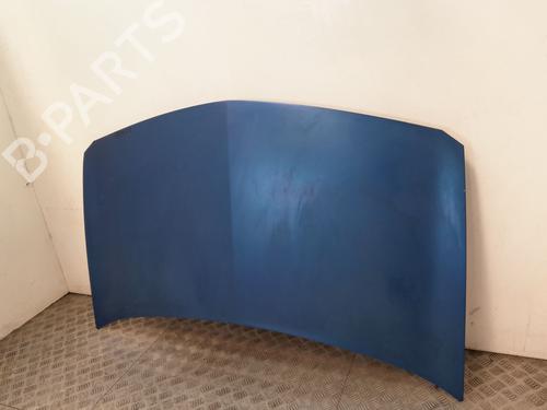 Hood RENAULT MEGANE II (BM0/1_, CM0/1_) 1.5 dCi (BM1F, CM1F) | BP29534028C1 