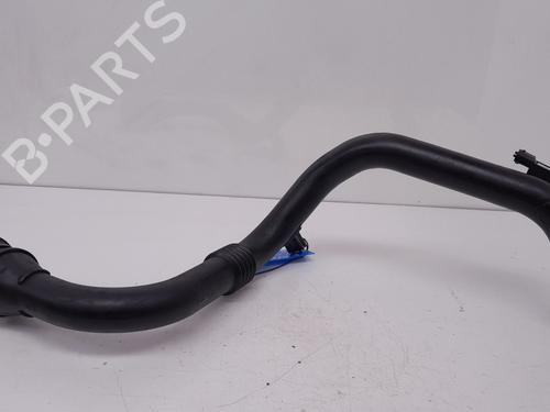 Pijp RENAULT MEGANE III Hatchback (BZ0/1_, B3_) 1.5 dCi (106 hp) 29941955