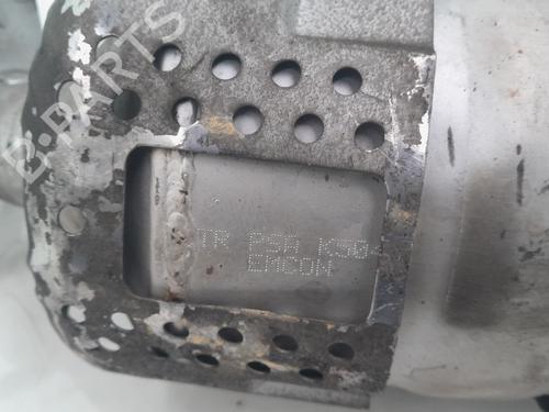 Particulate filter PEUGEOT 3008 I MPV (0U_) | BP29906488M81