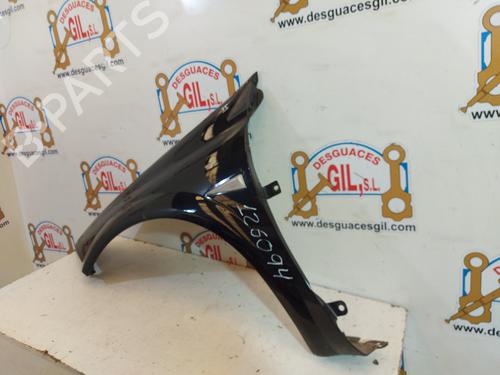 Left front fenders RENAULT MEGANE II (BM0/1_, CM0/1_) 1.5 dCi (BM02, BM13, BM2A, CM02, CM13) | BP20746547C41 