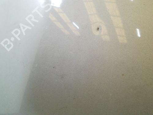 Hood RENAULT LAGUNA I (B56_, 556_) 1.9 dTi | BP20752719C1
