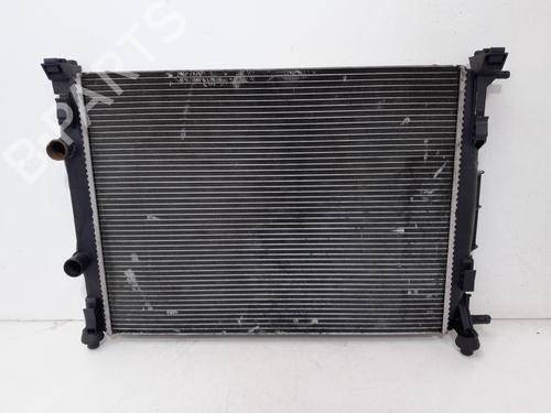 Køler RENAULT SCÉNIC II (JM0/1_) [2003-2010]  30697714
