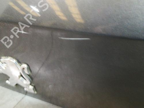Tailgate PEUGEOT 308 I (4A_, 4C_)  | BP20752943C6 
