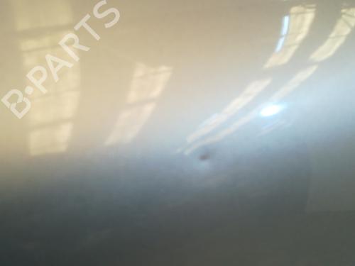 Hood RENAULT SUPER 5 (B/C40_) 1.4 (B/C402) | BP20754954C1 