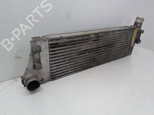 Intercooler RENAULT MEGANE II Saloon (LM0/1_) 1.9 dCi (LM0G, LM1G, LM2C) | BP29634814M30 