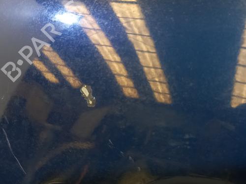 Left rear door BMW 3 (E90) 318 d | BP20745193C4 
