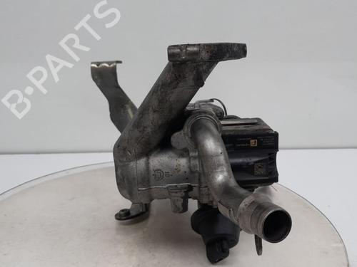 Egr CITROËN C4 II (NC_) | BP31316704M69