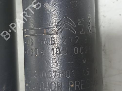 Right rear shock absorber PEUGEOT 208 I (CA_, CC_) 1.6 BlueHDi 100 | BP22406148M19