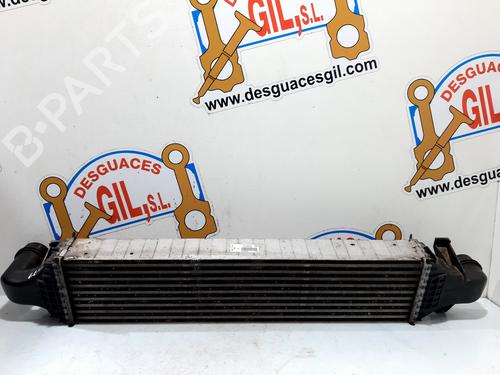 Intercooler MERCEDES-BENZ A-CLASS (W176) A 200 CDI (176.001) | BP20753351M30 