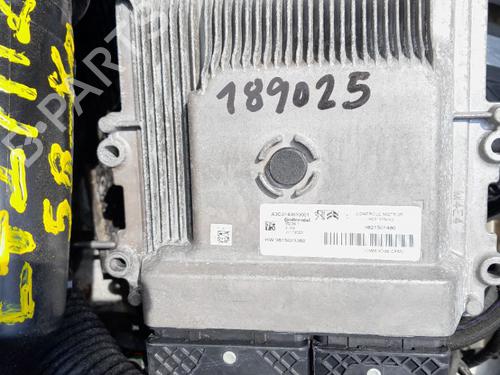 Used Engine control unit (ECU) PEUGEOT 2008 II (UD_, US_, UY_, UJ_, UR_, UC_) [2019-2025]  28276164