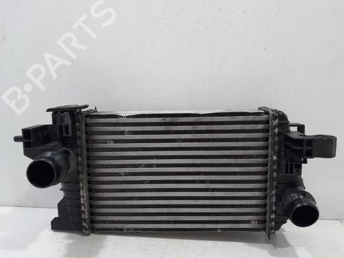 Intercooler OPEL MERIVA B MPV (S10) 1.6 CDTI (75) (110 hp) 23139480