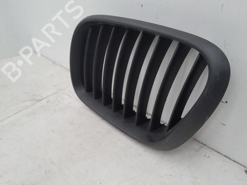 Grill BMW X5 (E53) 3.0 d | BP31072305C40