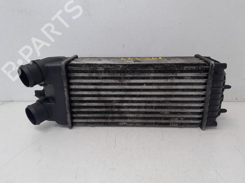 Intercooler CITROËN XSARA PICASSO (N68) 1.6 HDi (109 hp) 29636271