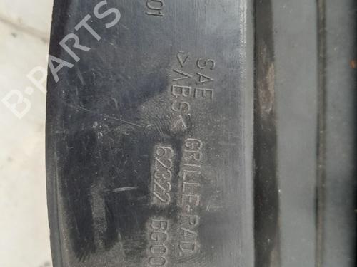 Gitter NISSAN MICRA III (K12) 1.5 dCi | BP30909132C40