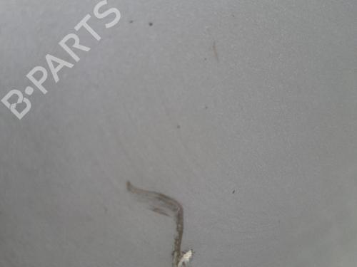 Right rear door FIAT BRAVO II (198_) 1.9 D Multijet (198AXB1A) | BP26214581C5 