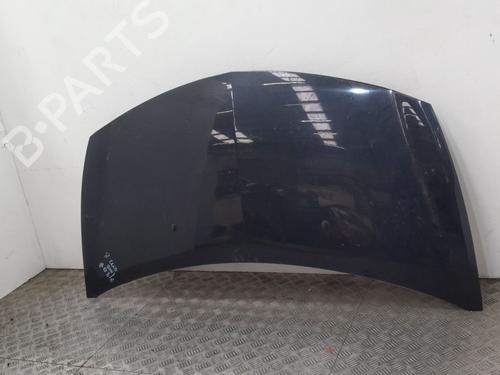 Hood RENAULT CLIO III (BR0/1, CR0/1)  | BP24649870C1 