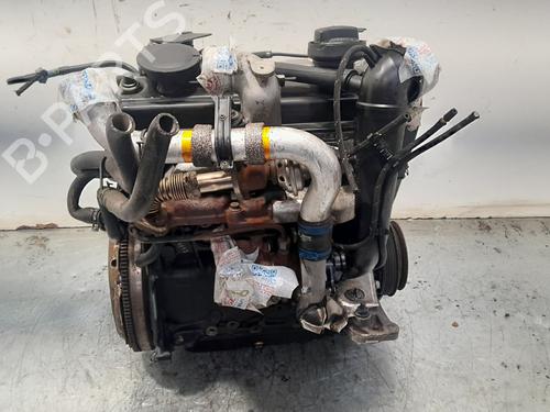 Engine SEAT CORDOBA (6K2) | BP33540147M1 - Image 6