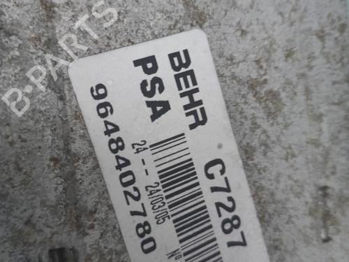 Intercooler PEUGEOT 206 CC (2D)  | BP31062581M30 