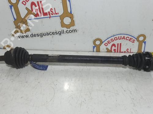 Used Right front driveshaft SEAT TOLEDO II (1M2) 1.9 TDI (110 hp) 20748312