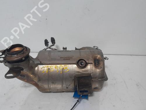 Particulate filter DACIA DOKKER MPV (KE_)  | BP29906496M81 