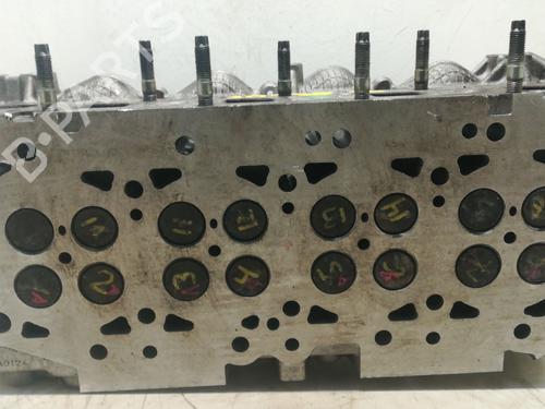 Cylinder head NISSAN ALMERA II (N16) | BP34129442M5 - Image 3