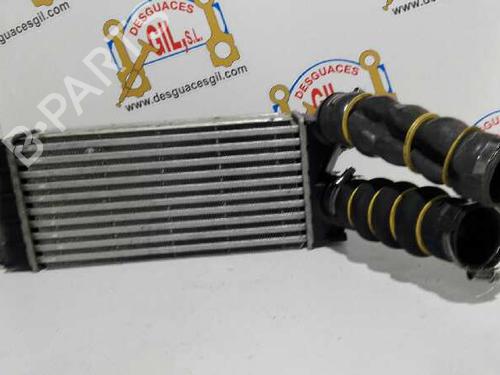 Intercooler PEUGEOT 3008 II SUV (MC_, MR_, MJ_, M4_)  | BP20773774M30 